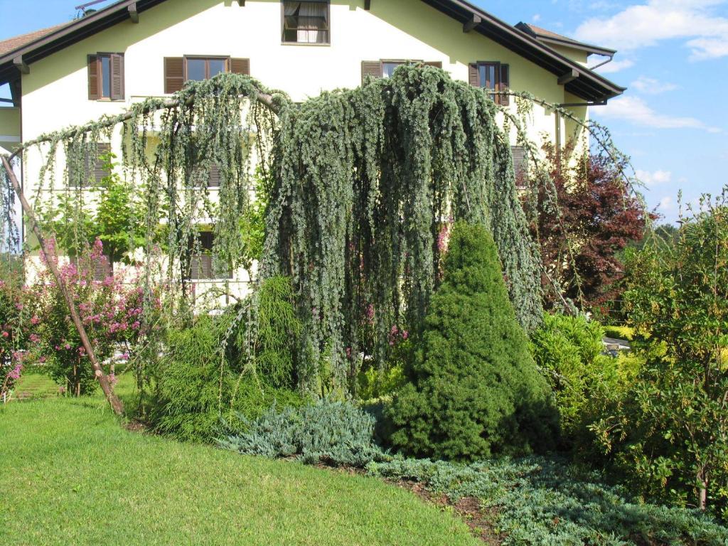 Albergo Residence Isotta Veruno Экстерьер фото